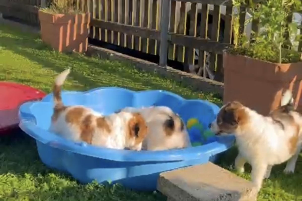 Screenshot_20250818_153603_WhatsApp